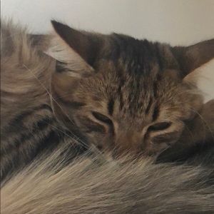 Meet your Posher, Ibrahim